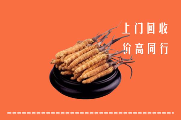 高价求购：静宁县回收散虫草